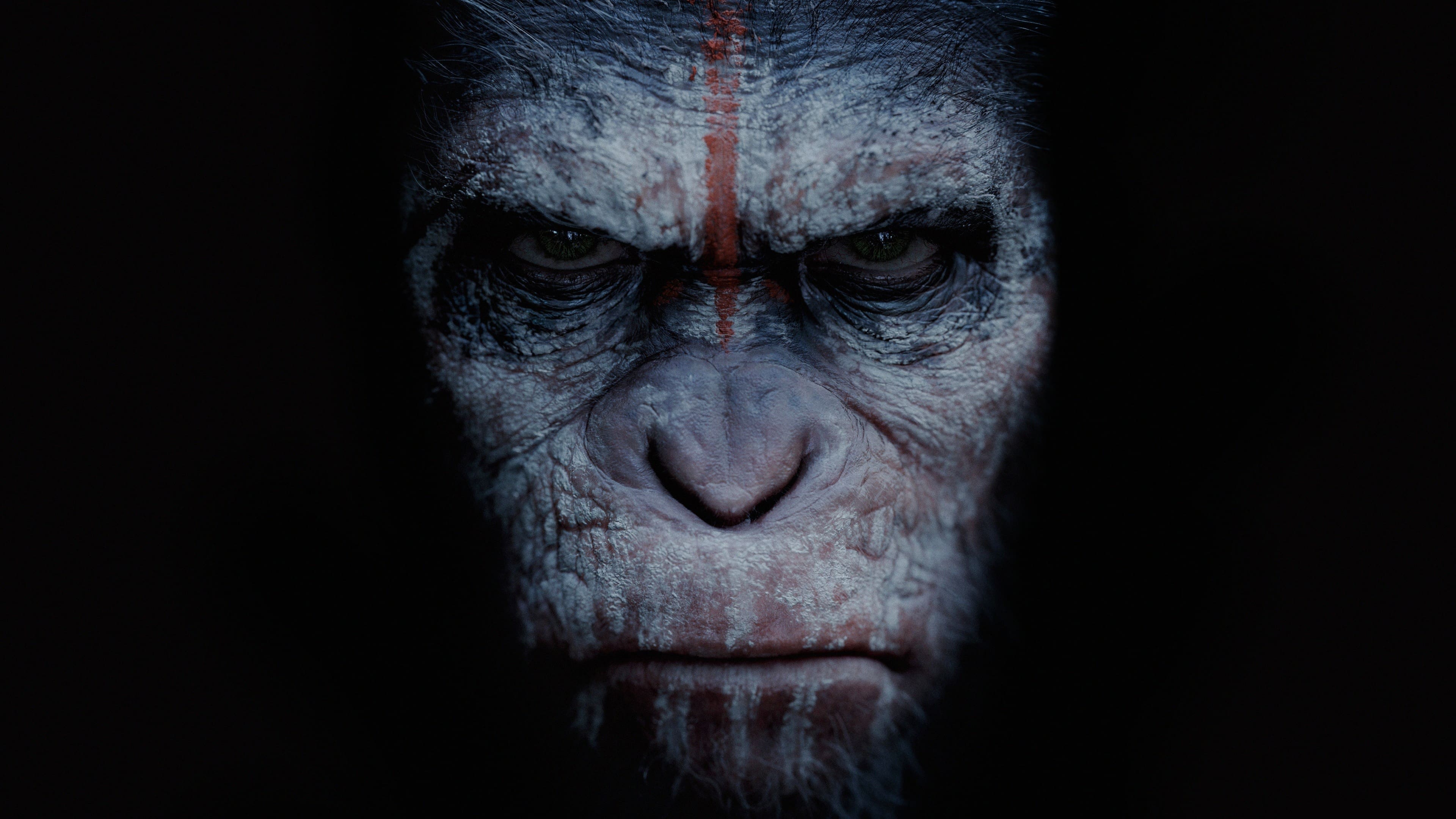 Dawn of the Planet of the Apes Background