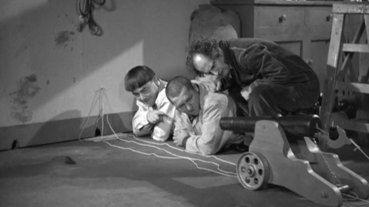 Termites of 1938 Background