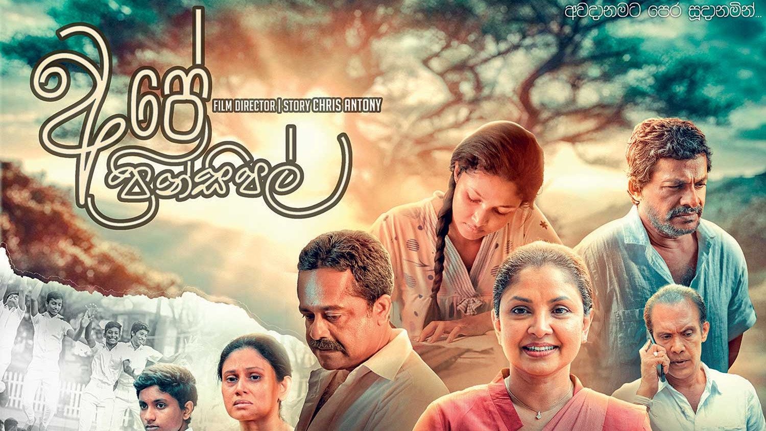 Ape Principal Background