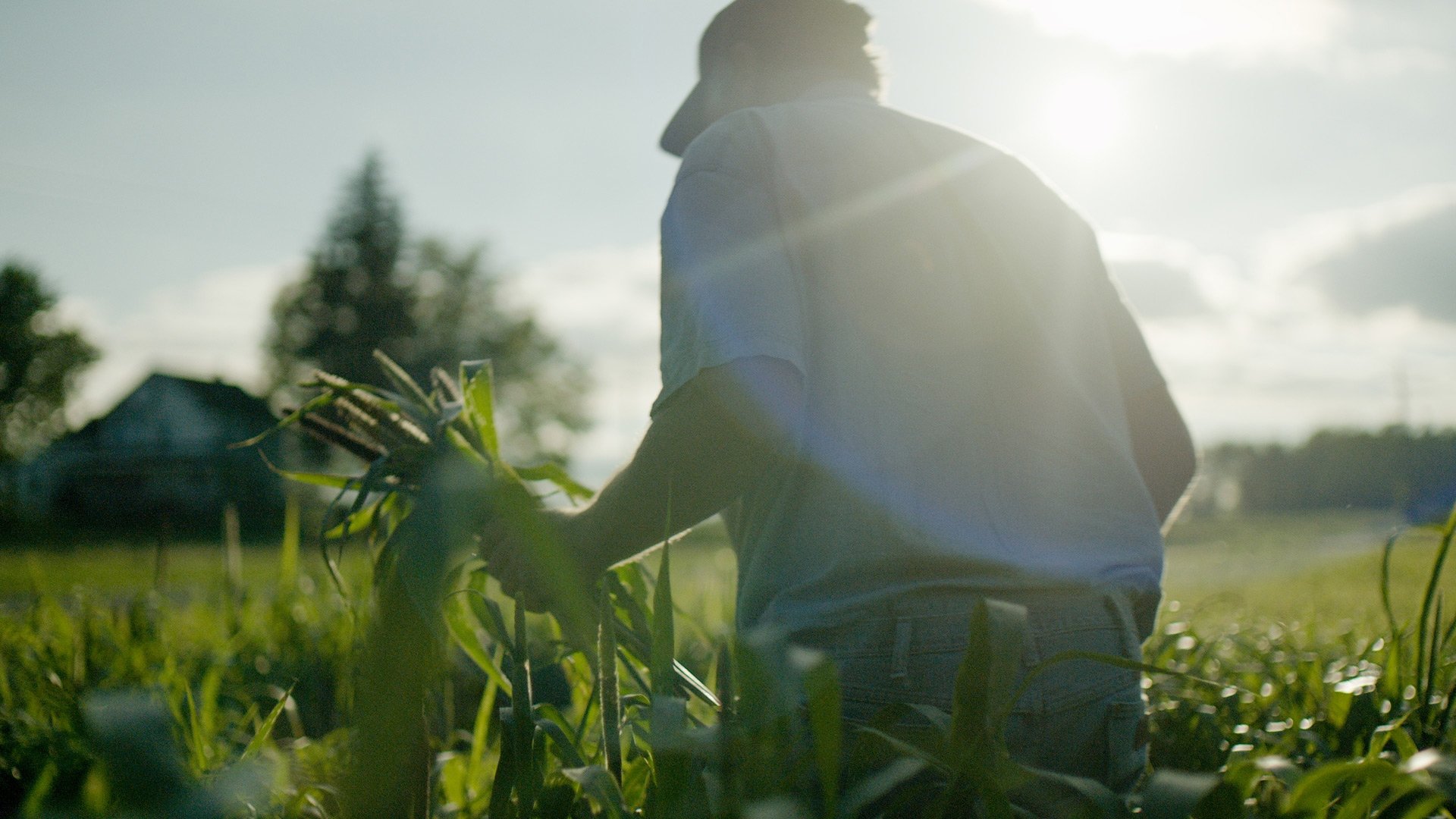 Wasted! The Story of Food Waste Background