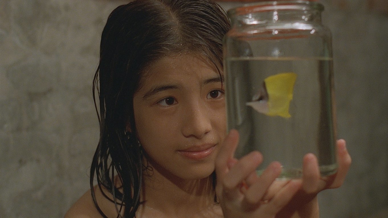 Tropical Fish Background