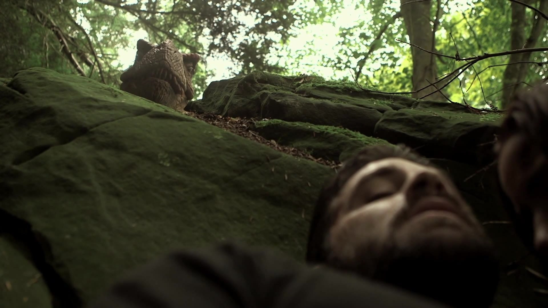 Extinction Background