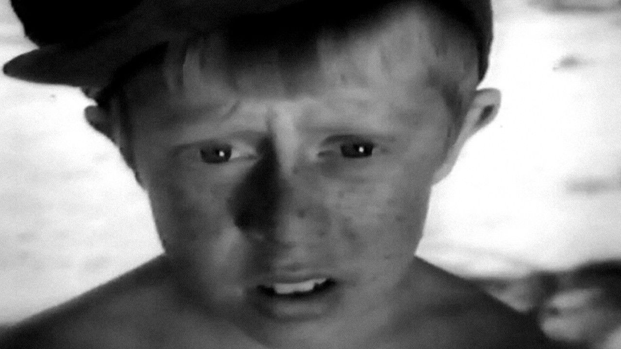 Toreadors from Vasiukivka Background