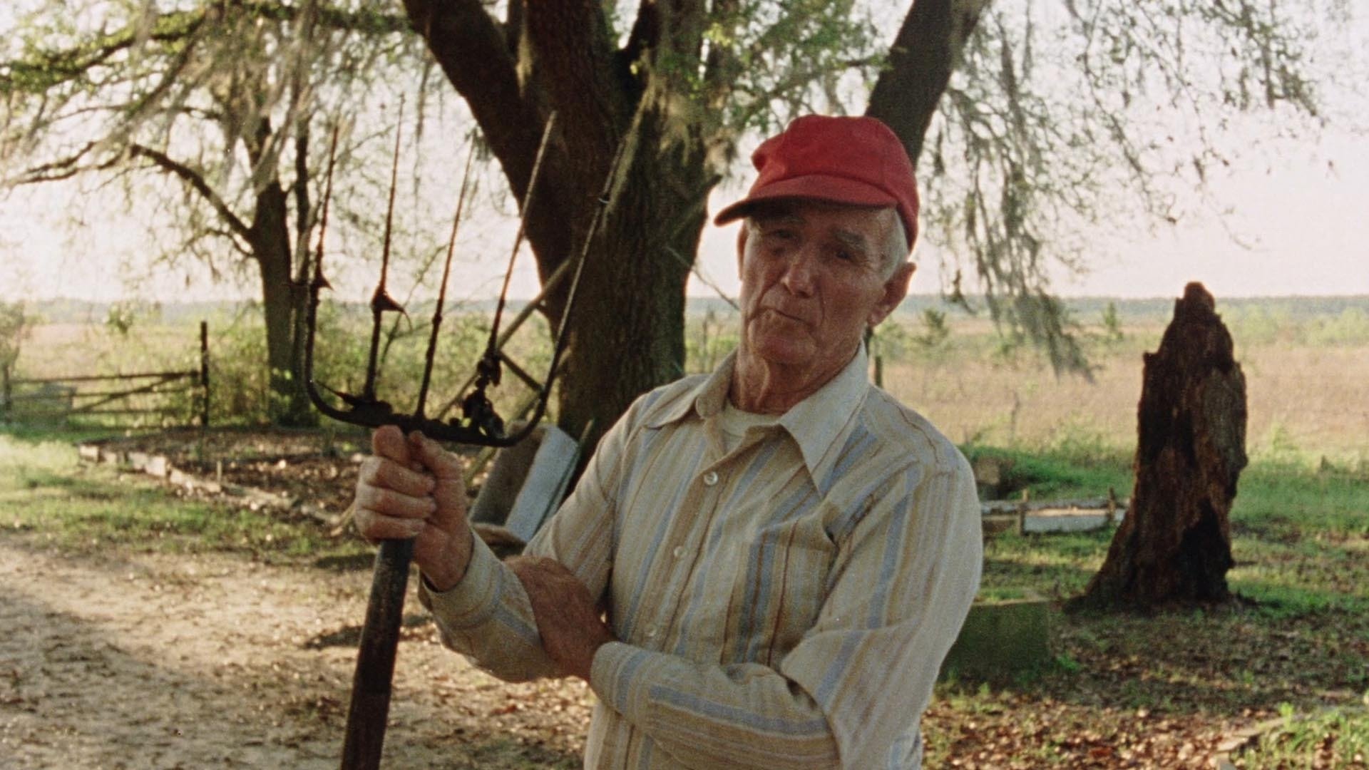 Vernon, Florida Background