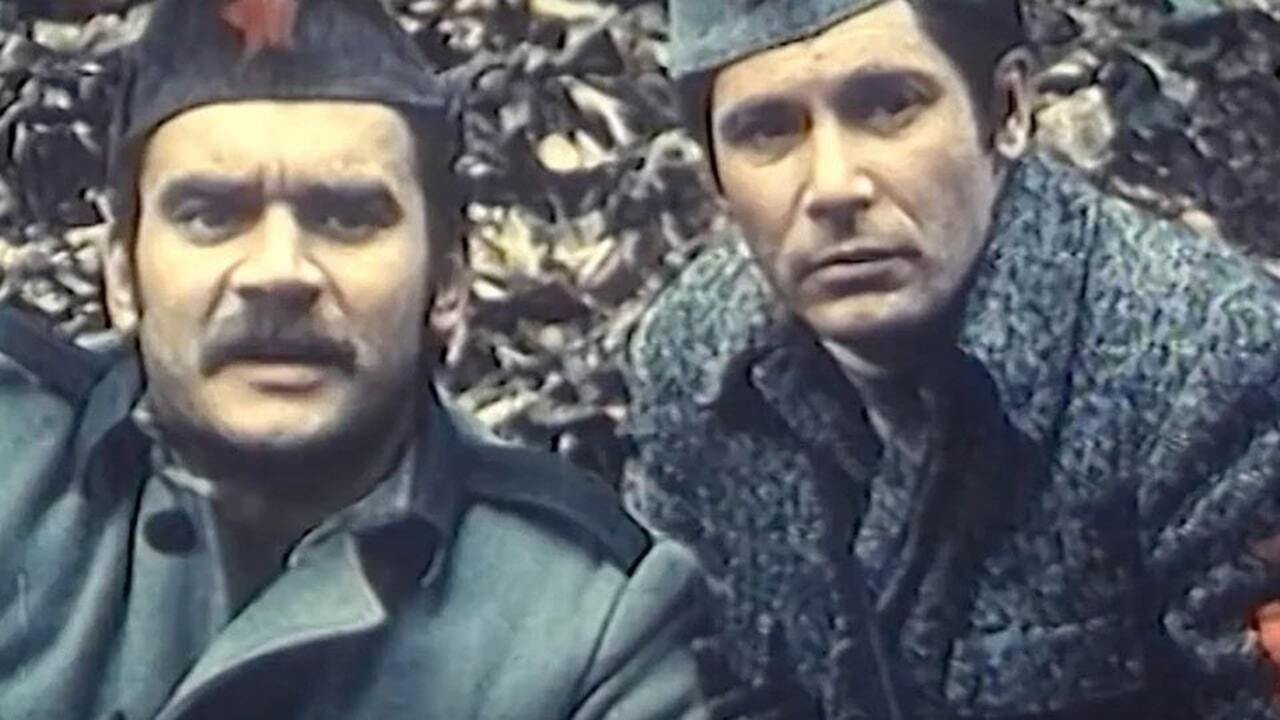 The Pine Tree in the Mountain Background