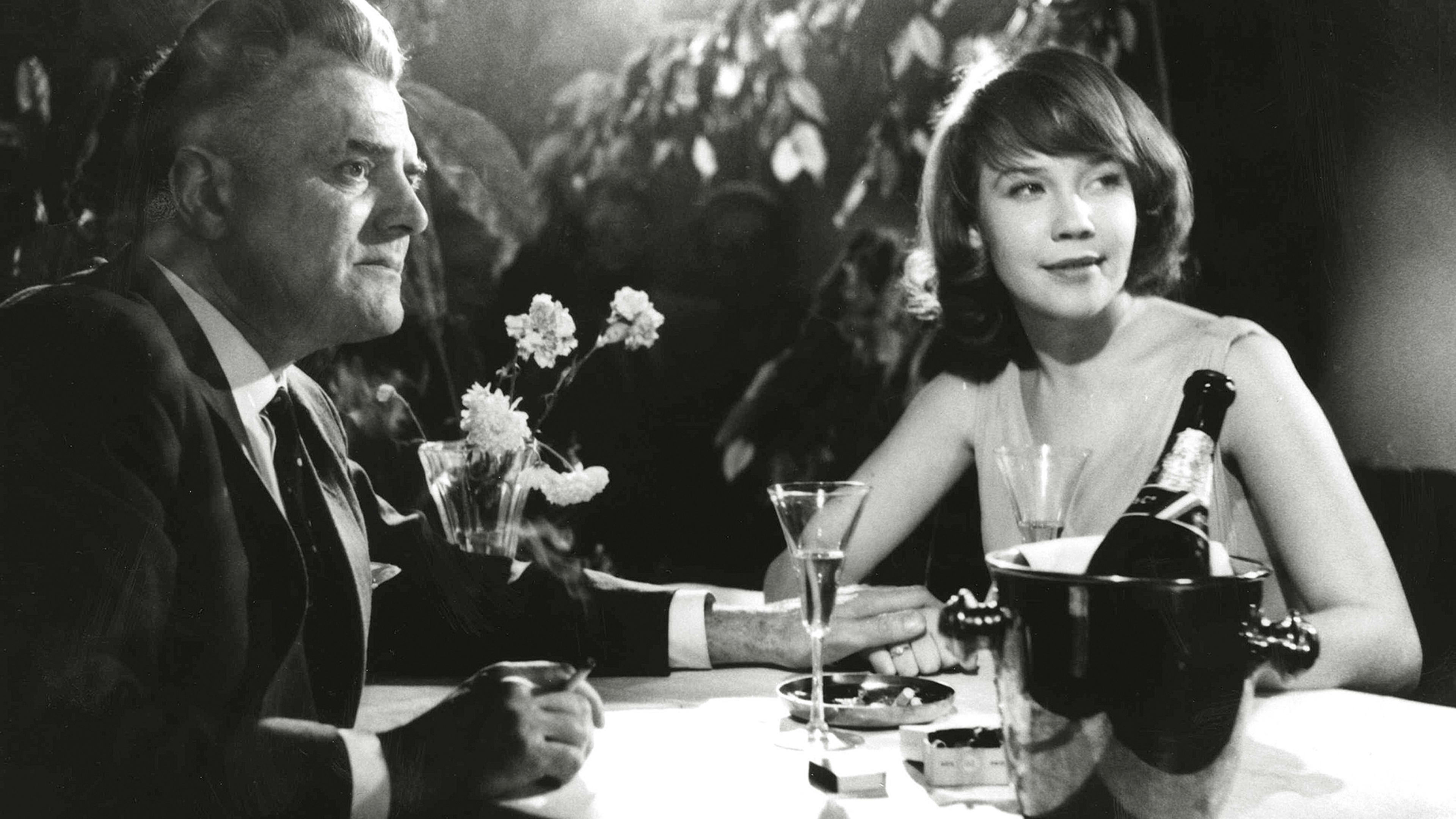 The Scarlet Dove Background