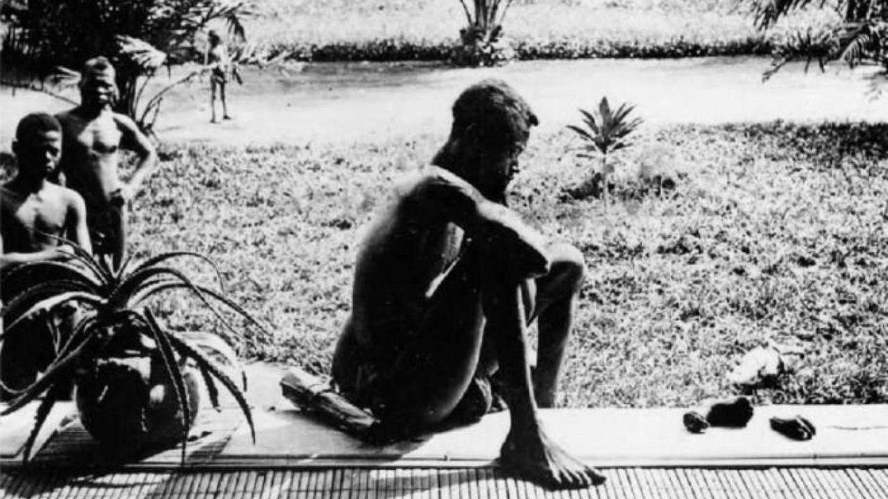 Congo: White King, Red Rubber, Black Death Background