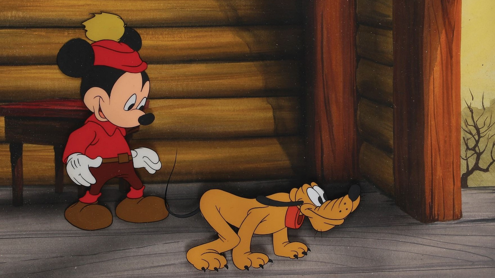 Squatter's Rights Background