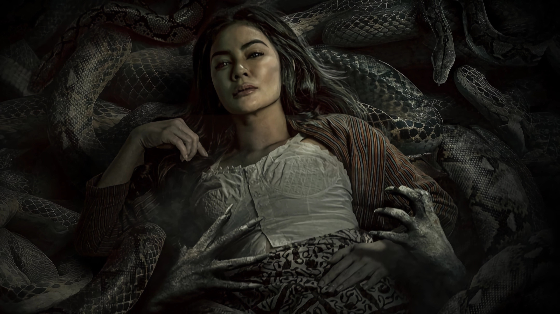 Paku Tanah Jawa Background