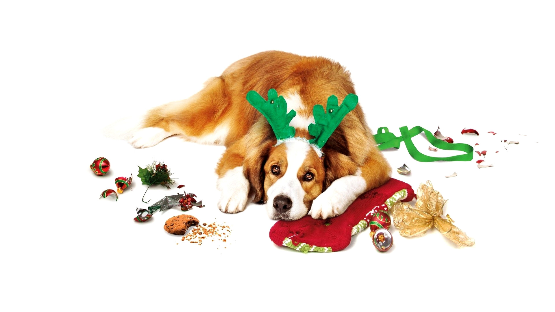 Love the Coopers Background