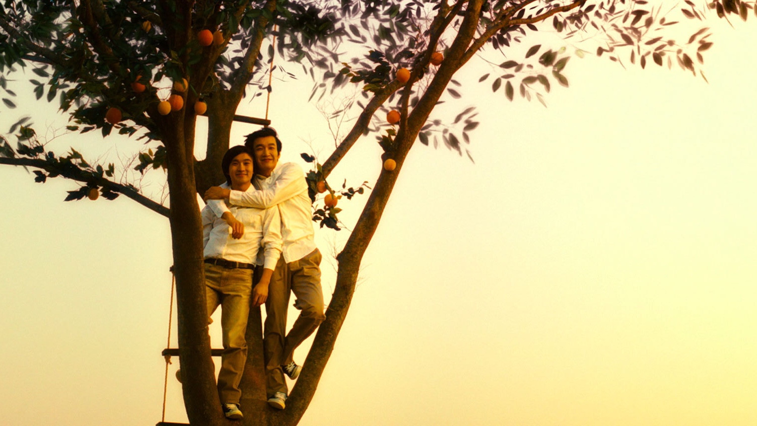 The Peach Tree Background