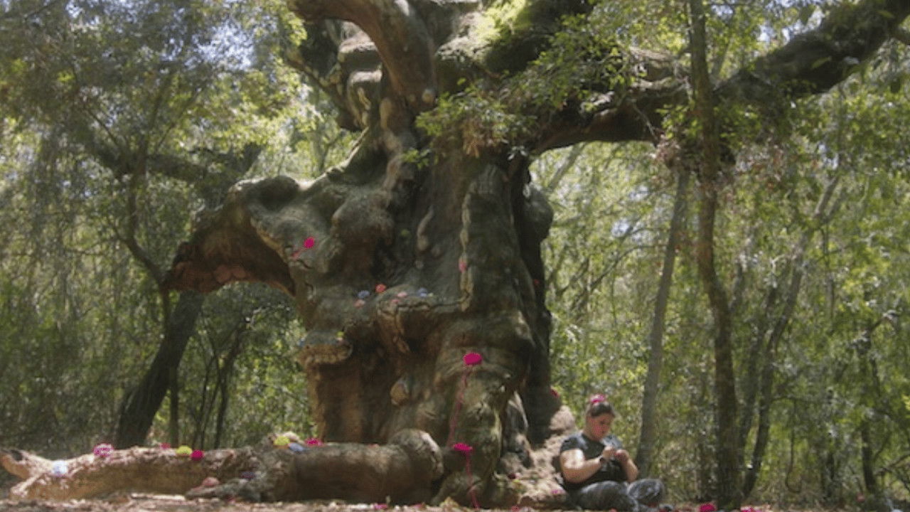 Valentina and the MUOSters Background