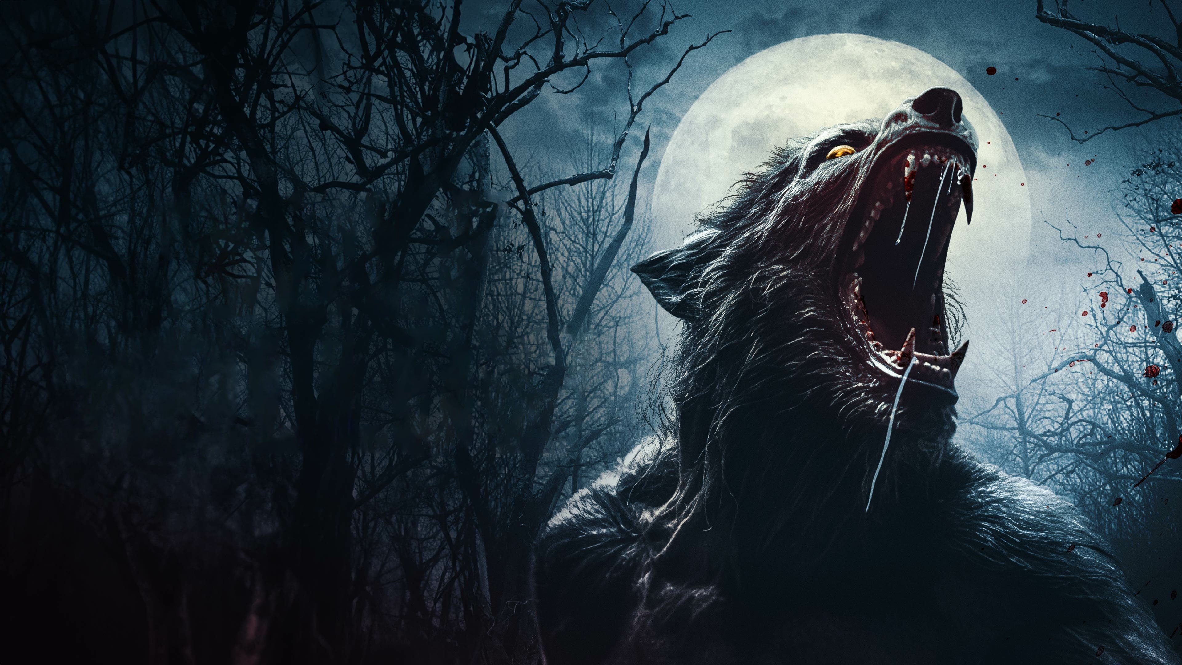 Wolf Hollow Background