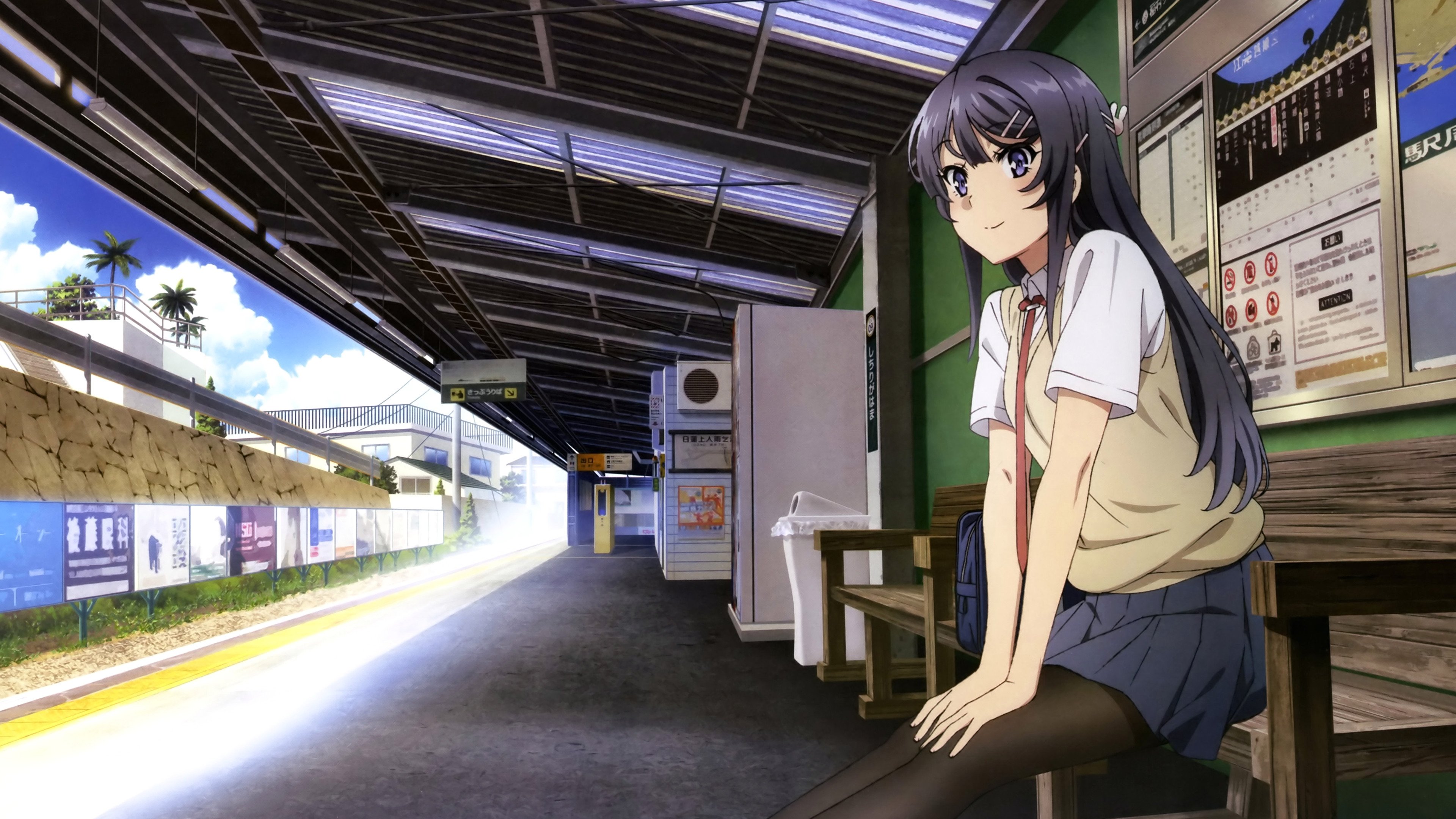 Rascal Does Not Dream of Bunny Girl Senpai Background