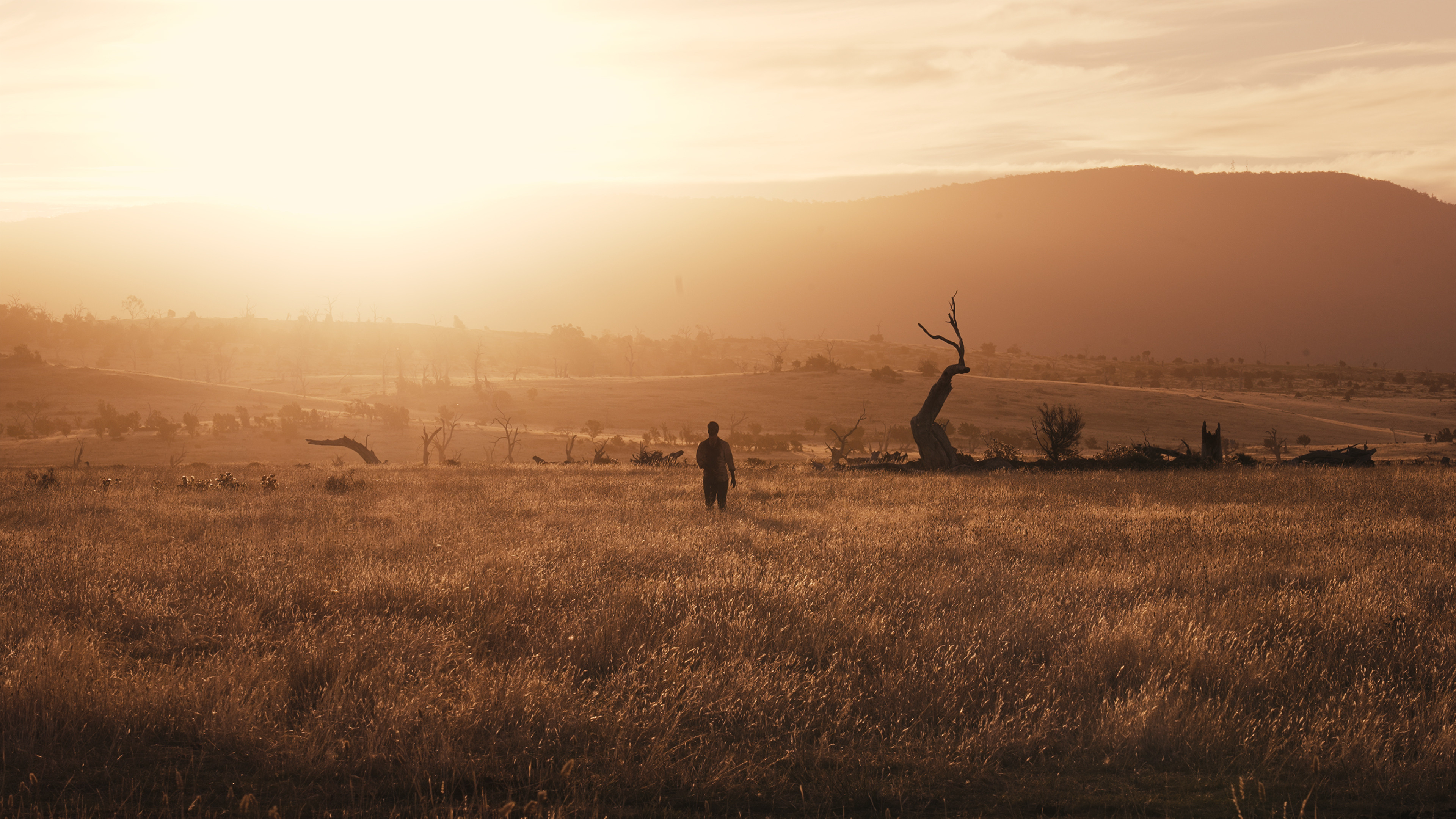 Beaten to Death Background