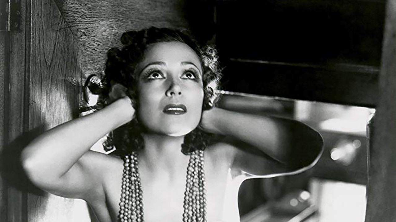 Bird of Paradise Background