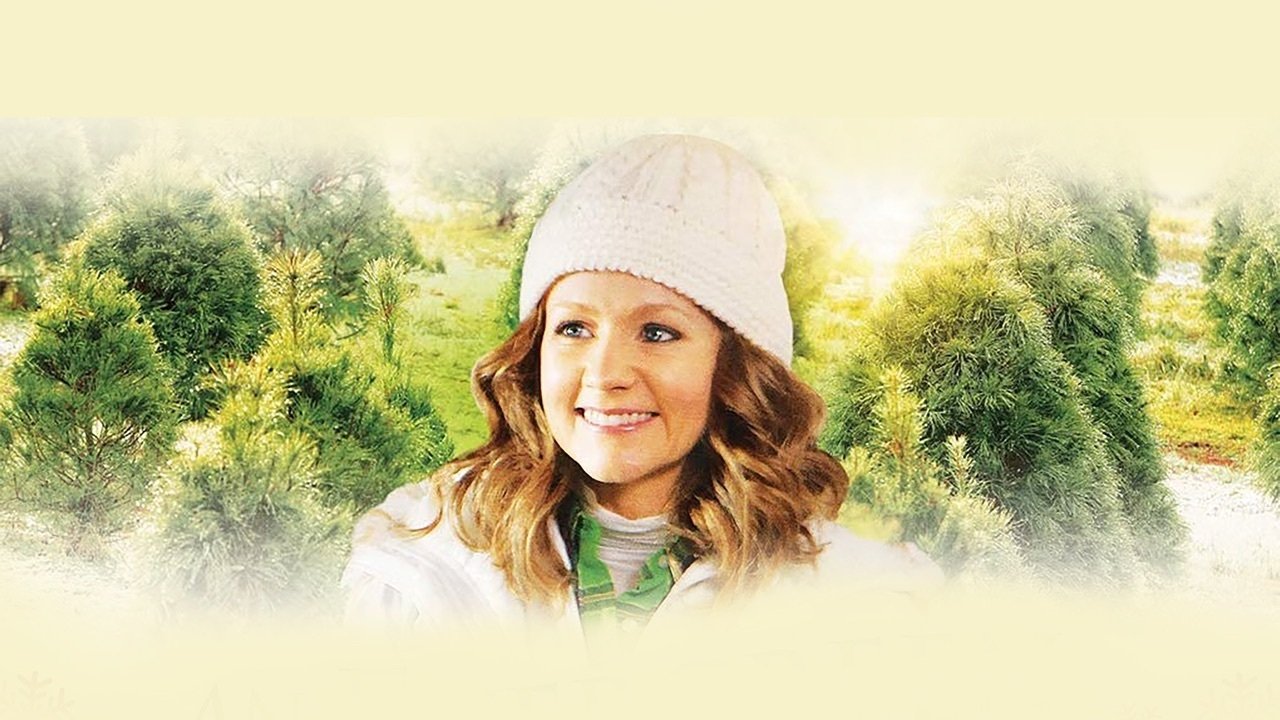 An Evergreen Christmas Background