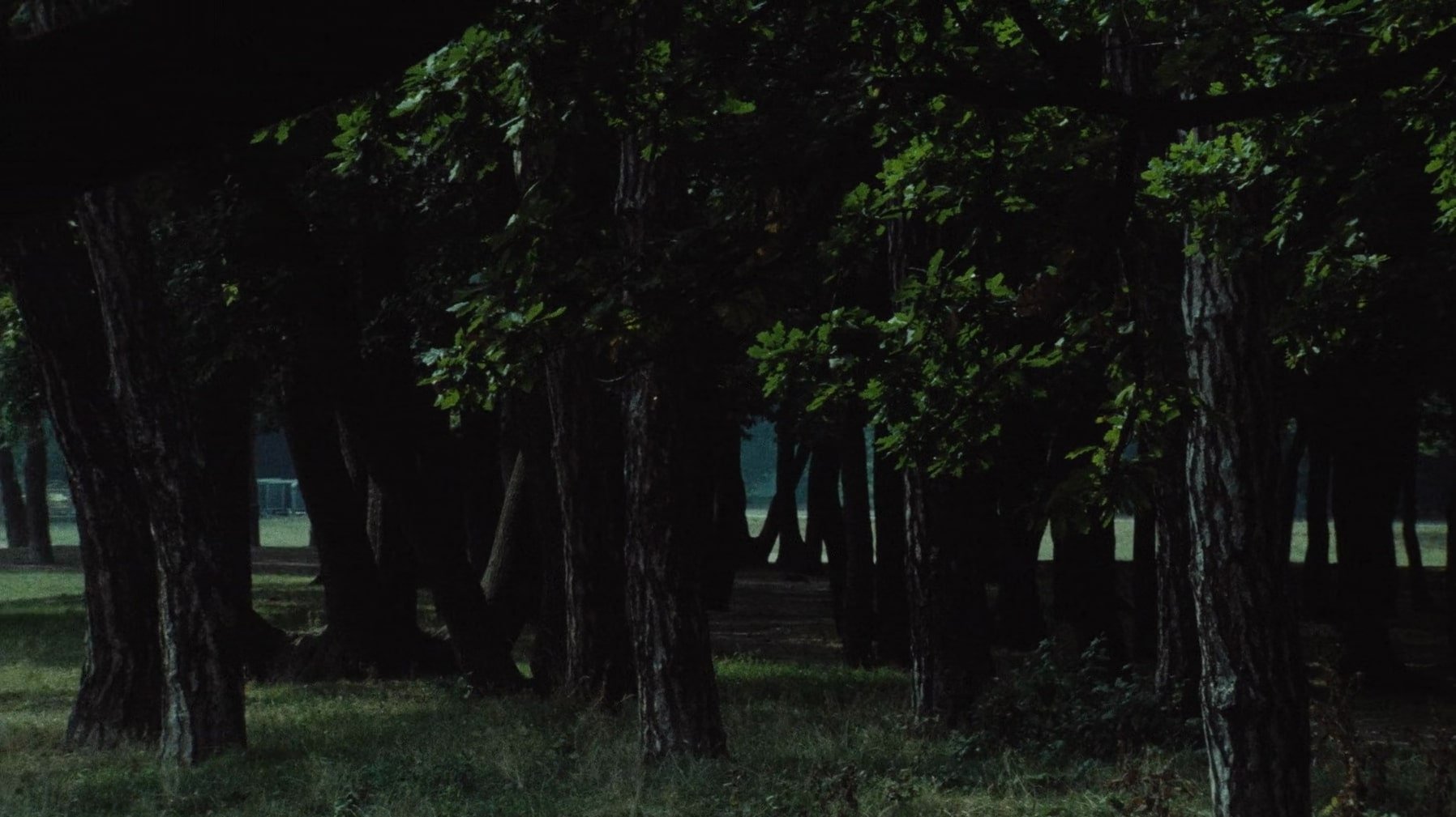 Le Navire Night Background