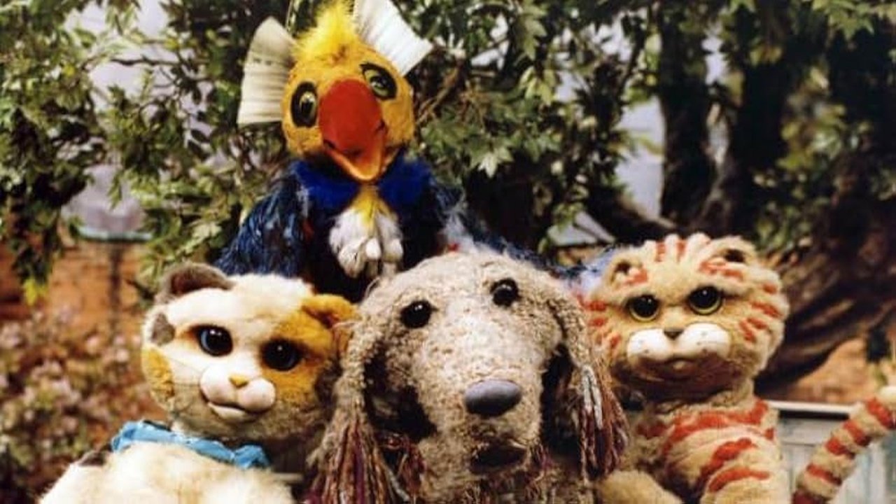 Kitty Cats Background