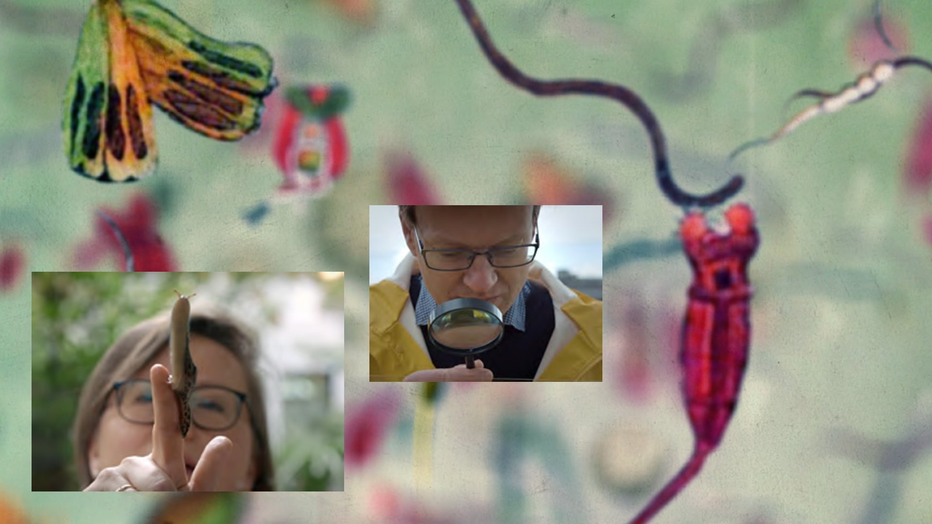 42 – The Answer to Almost Everything Background