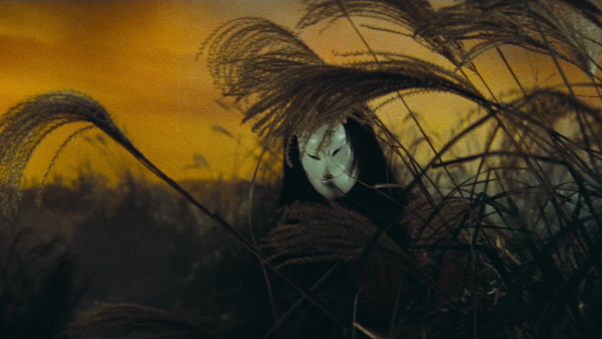 The Mad Fox Background