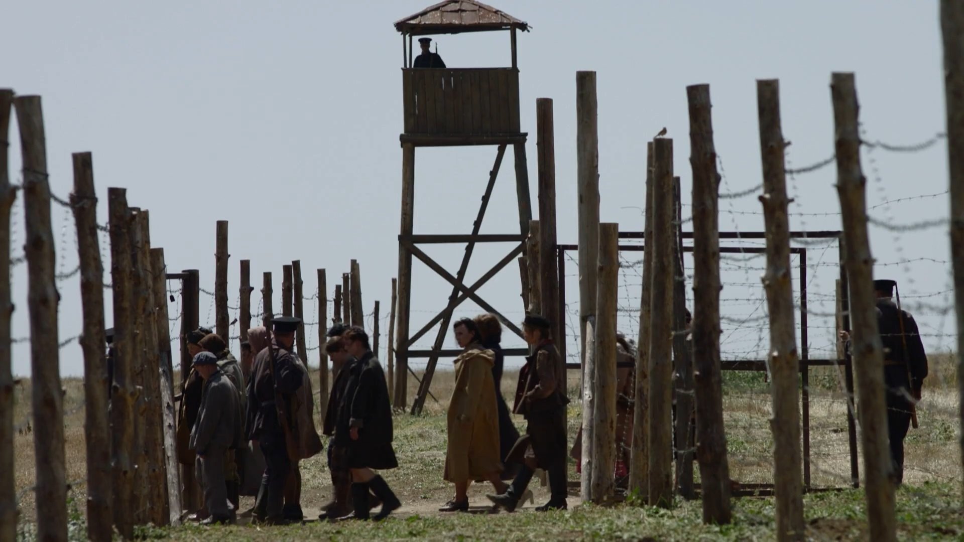 A.L.Zh.I.R Background