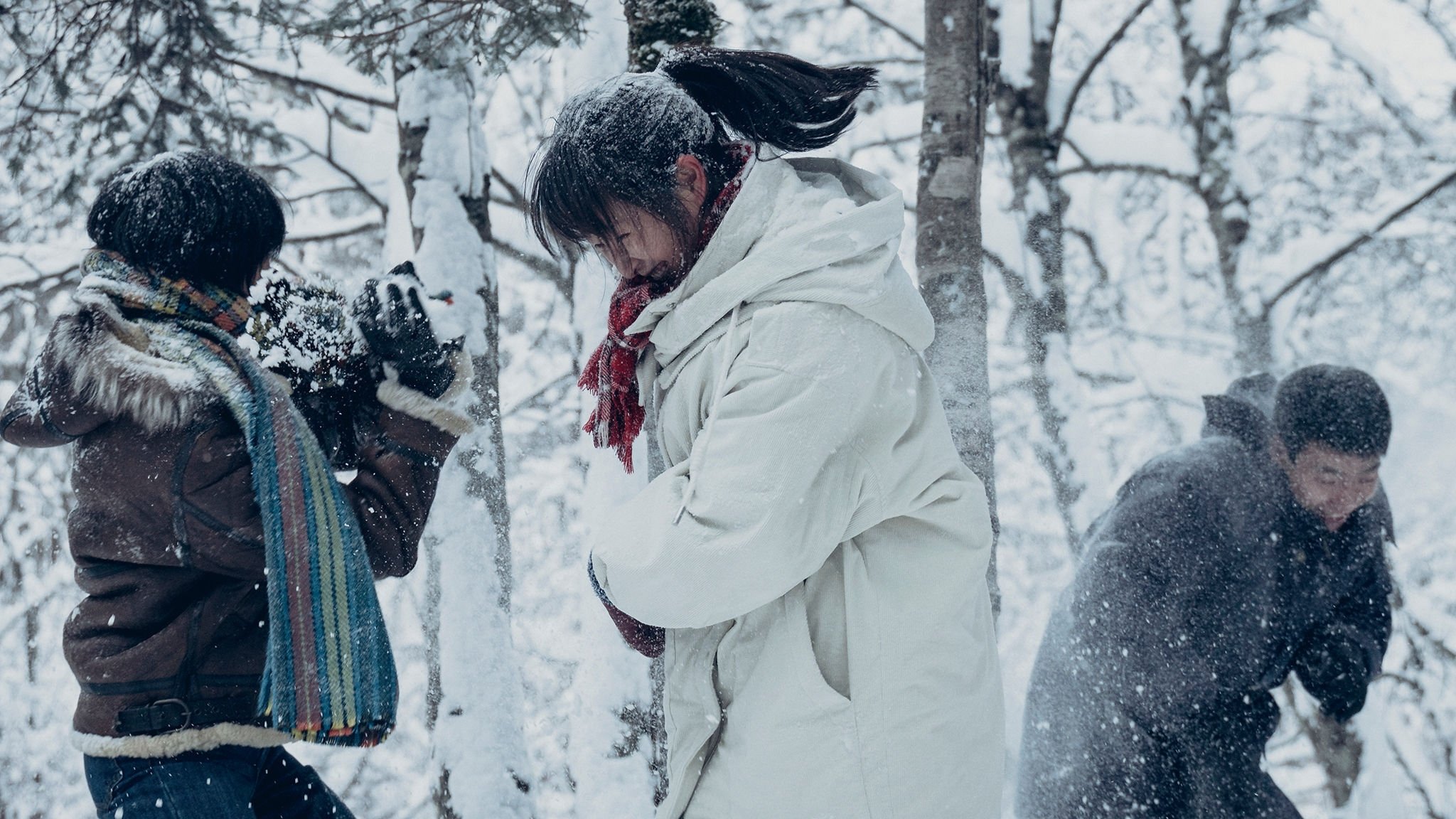 Wisdom Tooth Background