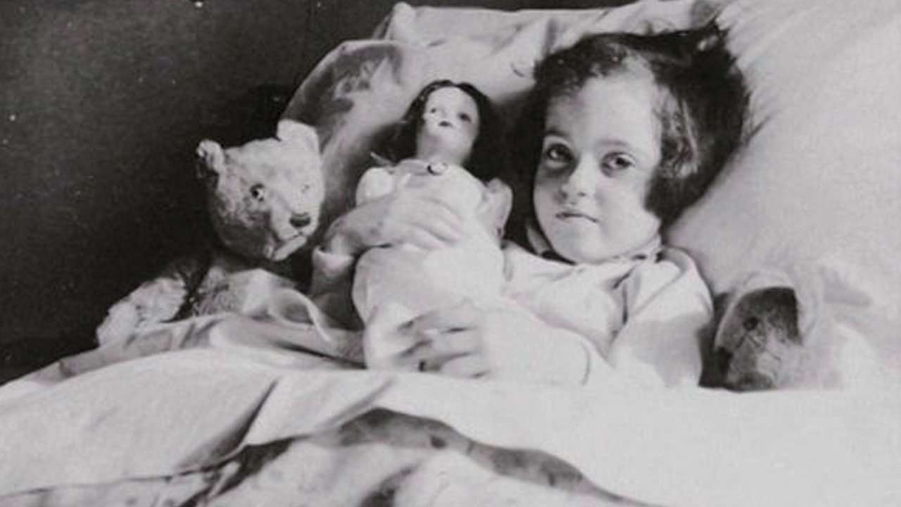 Ydessa, the Bears and etc. Background