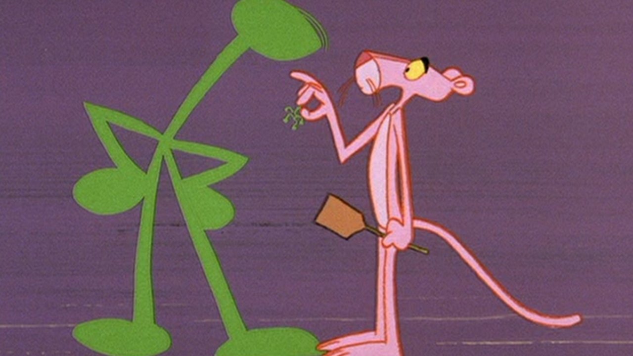 Pink Punch Background