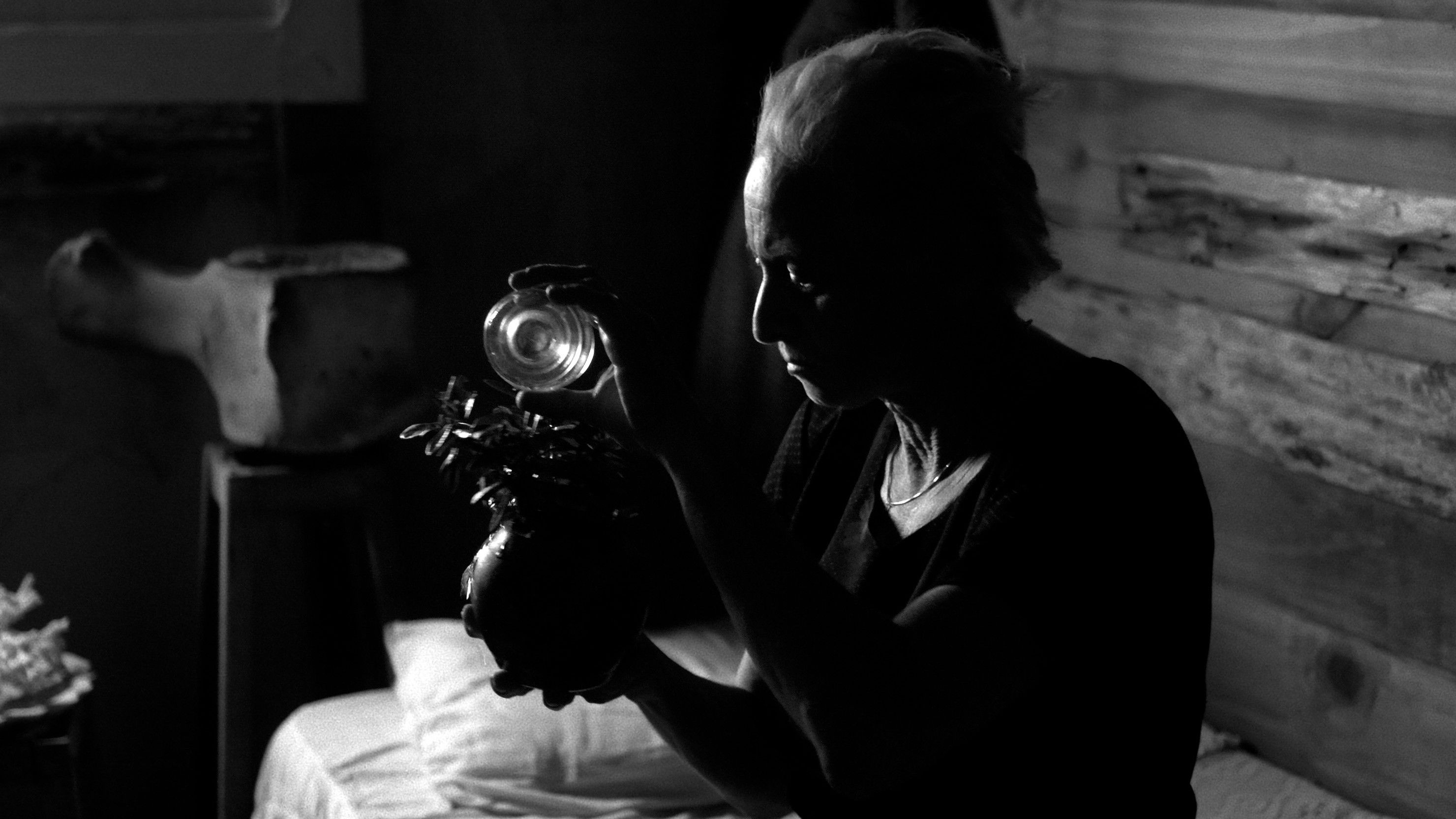 A Praia do Fim do Mundo Background