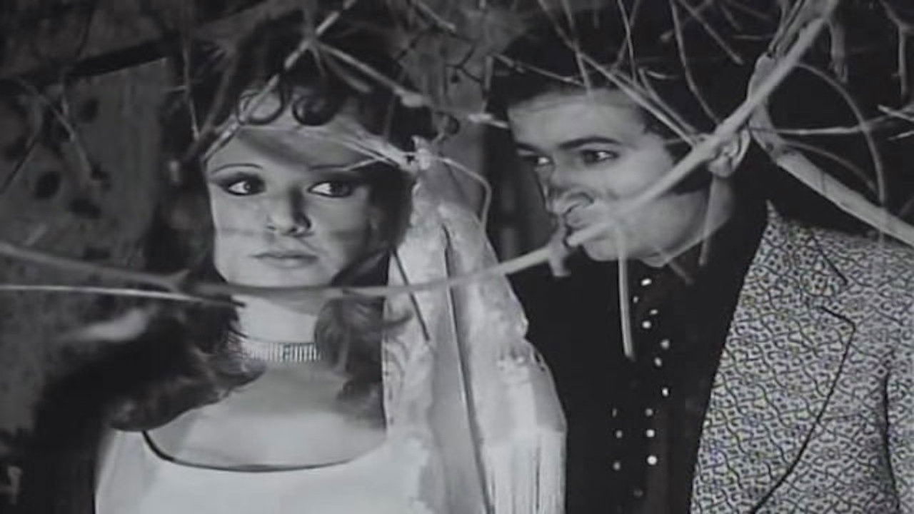 Word of Honour Background