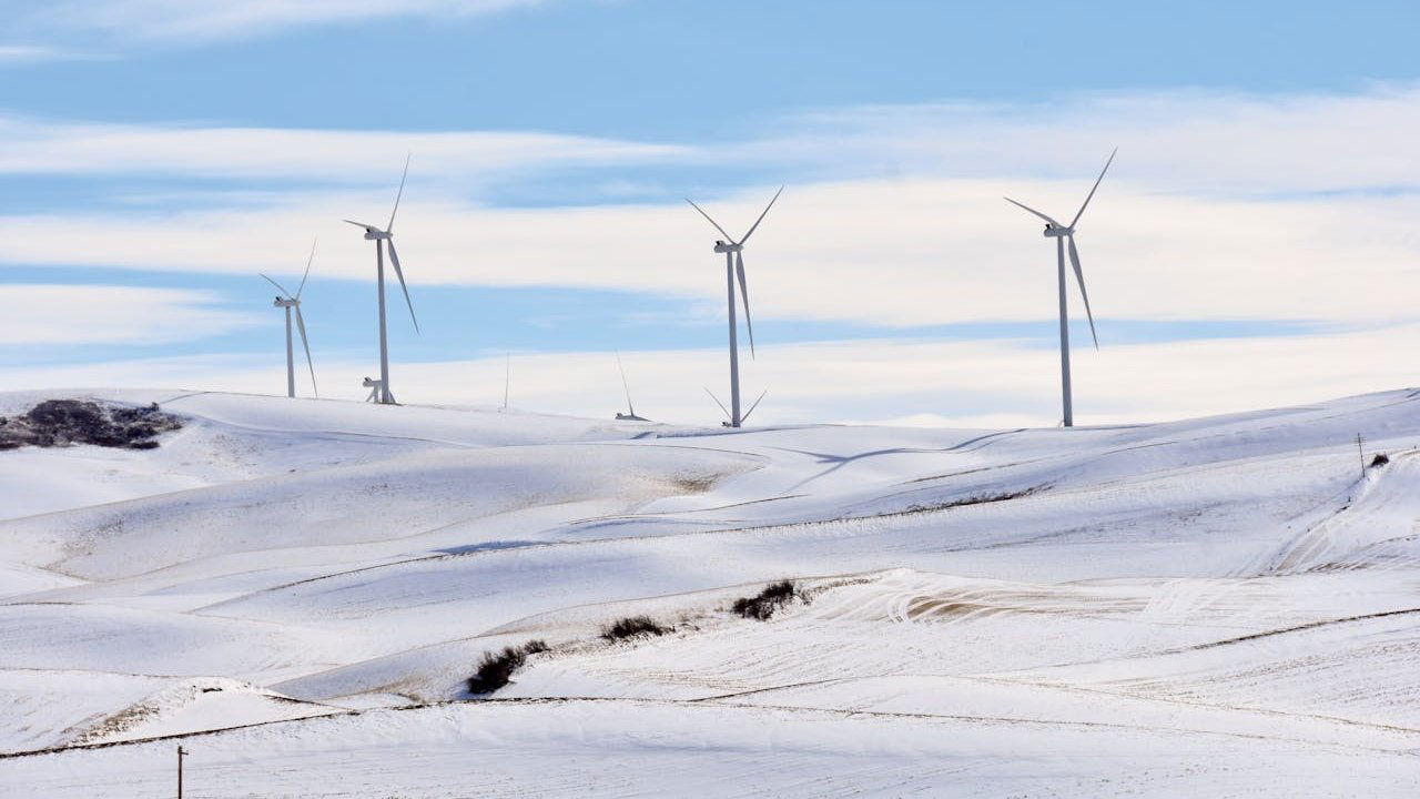 Climate: The Movie (The Cold Truth) Background