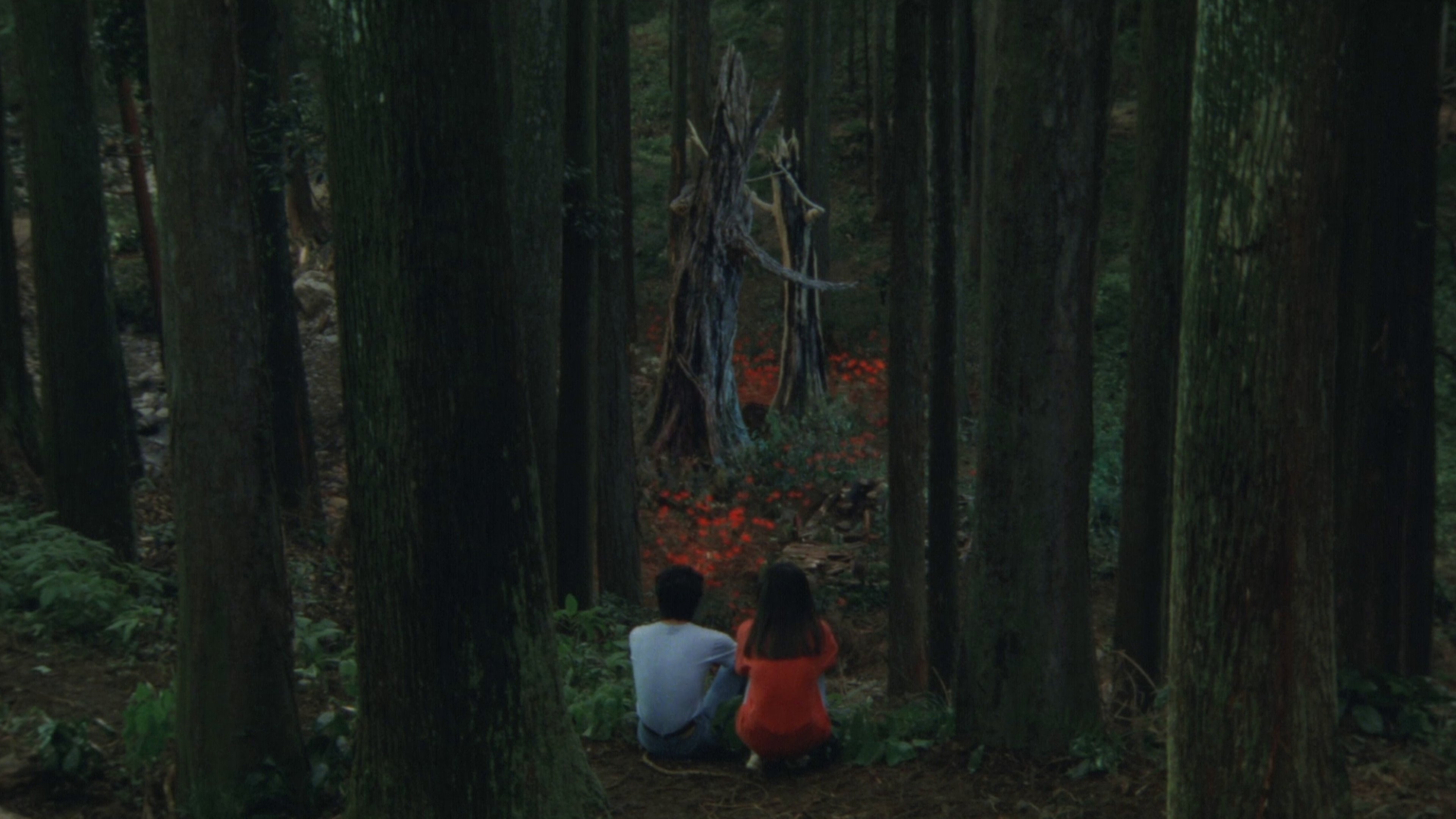 Rhapsody in August Background