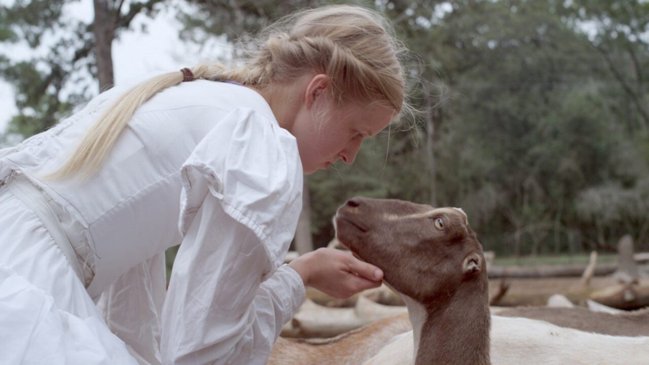 Stop the Pounding Heart Background
