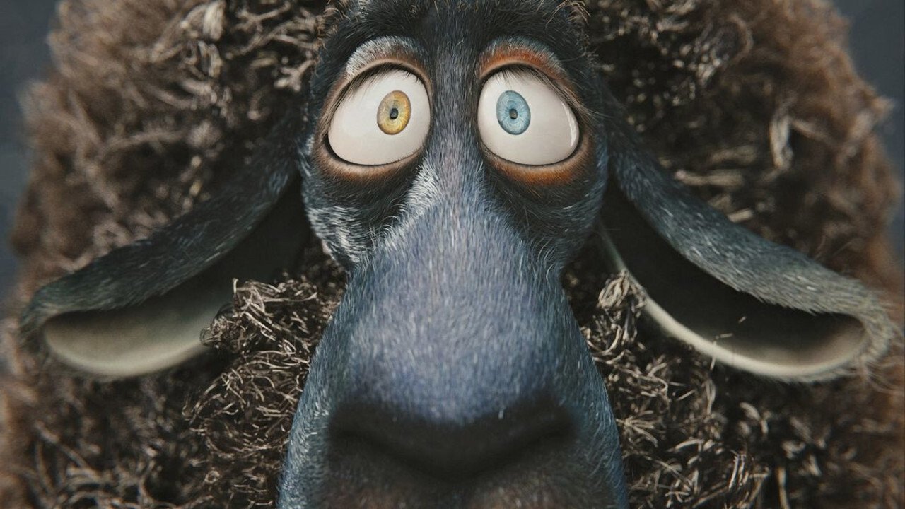 Cosmos Laundromat Background