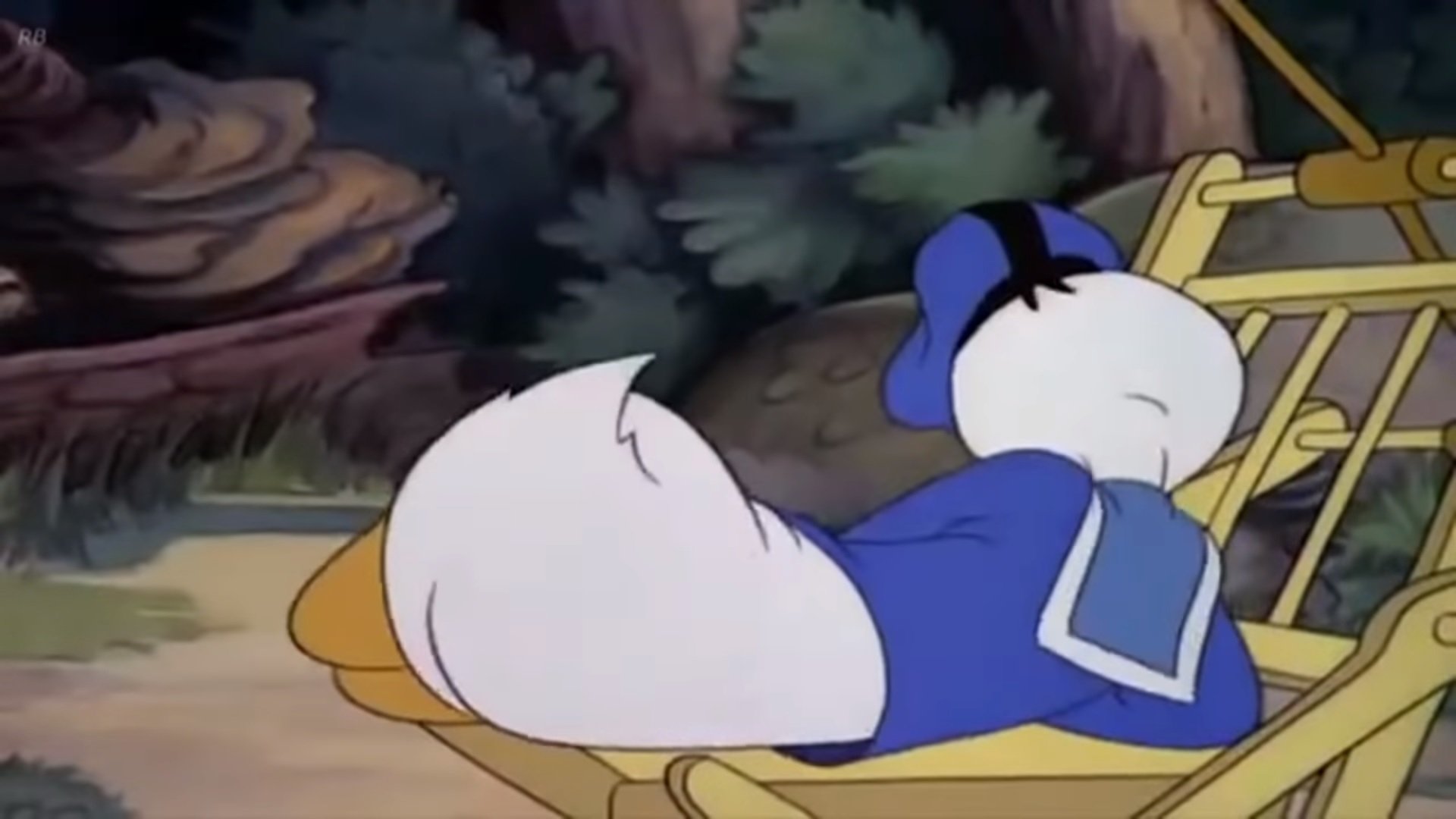 Donald's Vacation Background