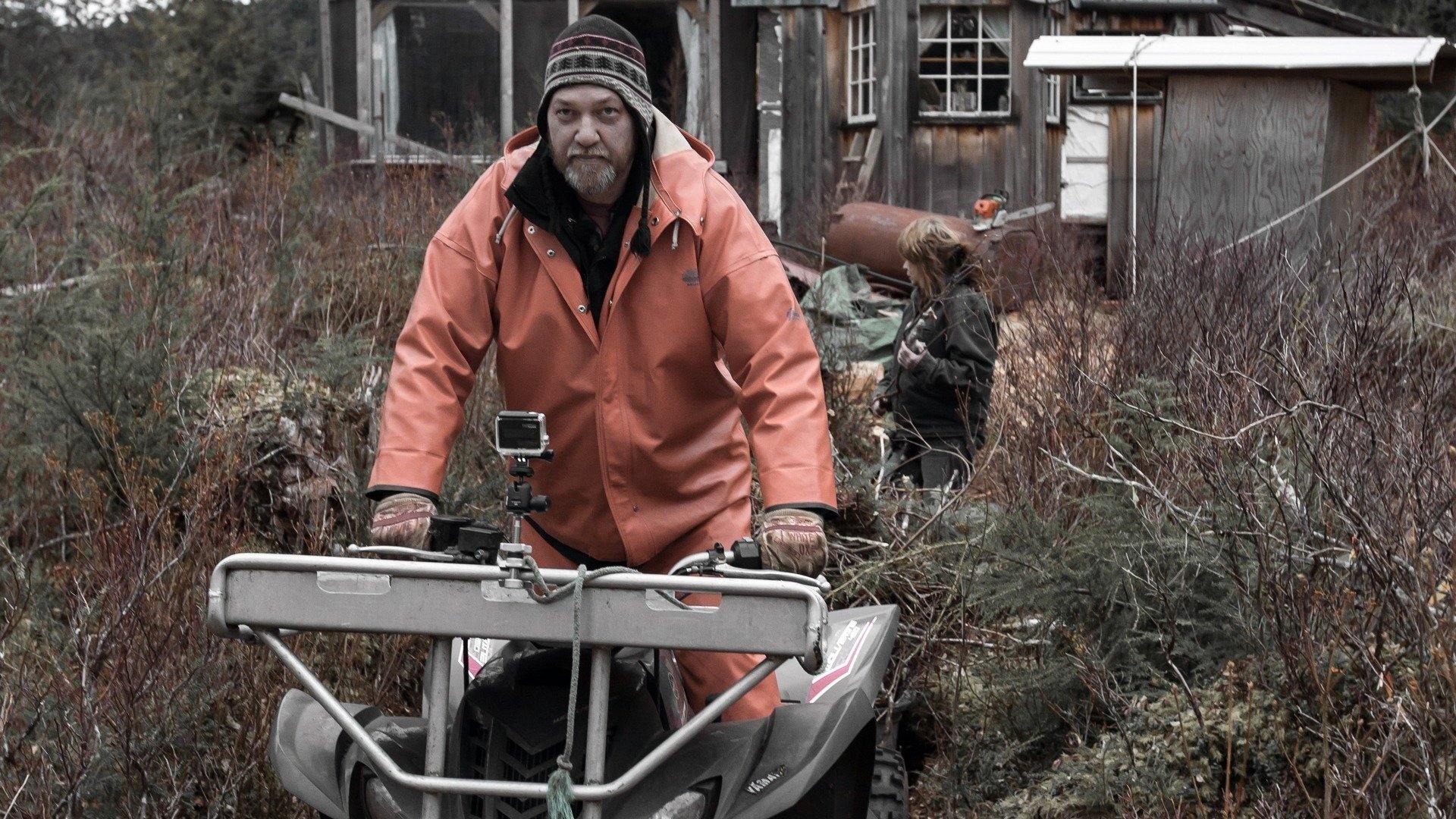 Port Protection Alaska Background