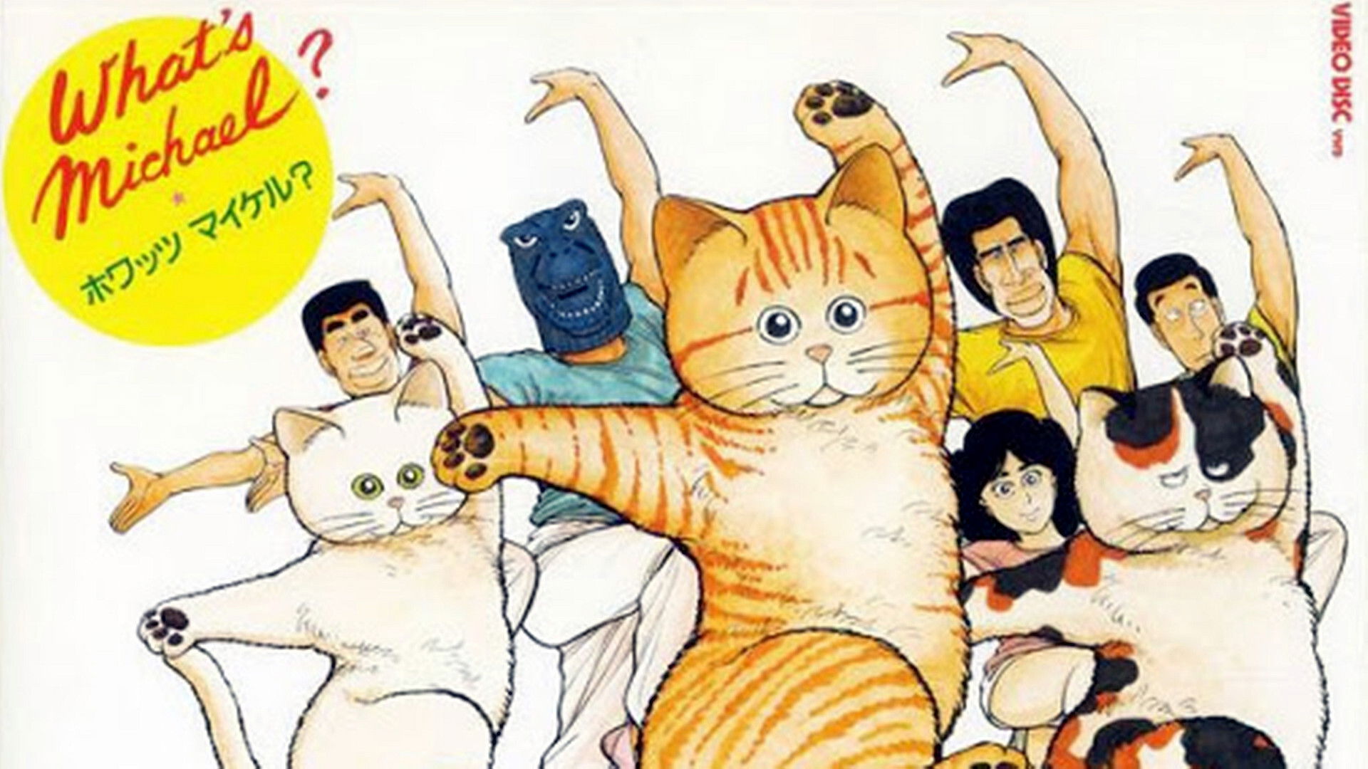 What's Michael? Background