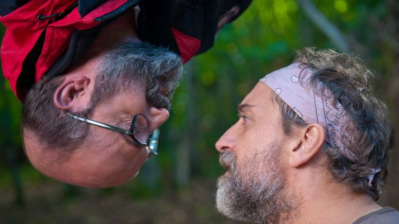 ¿Para qué sirve un oso? Background