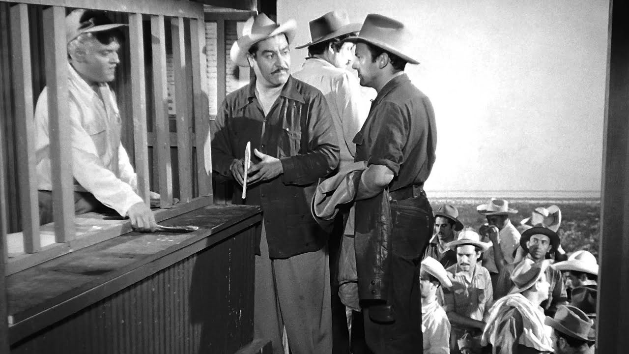 Espaldas mojadas Background