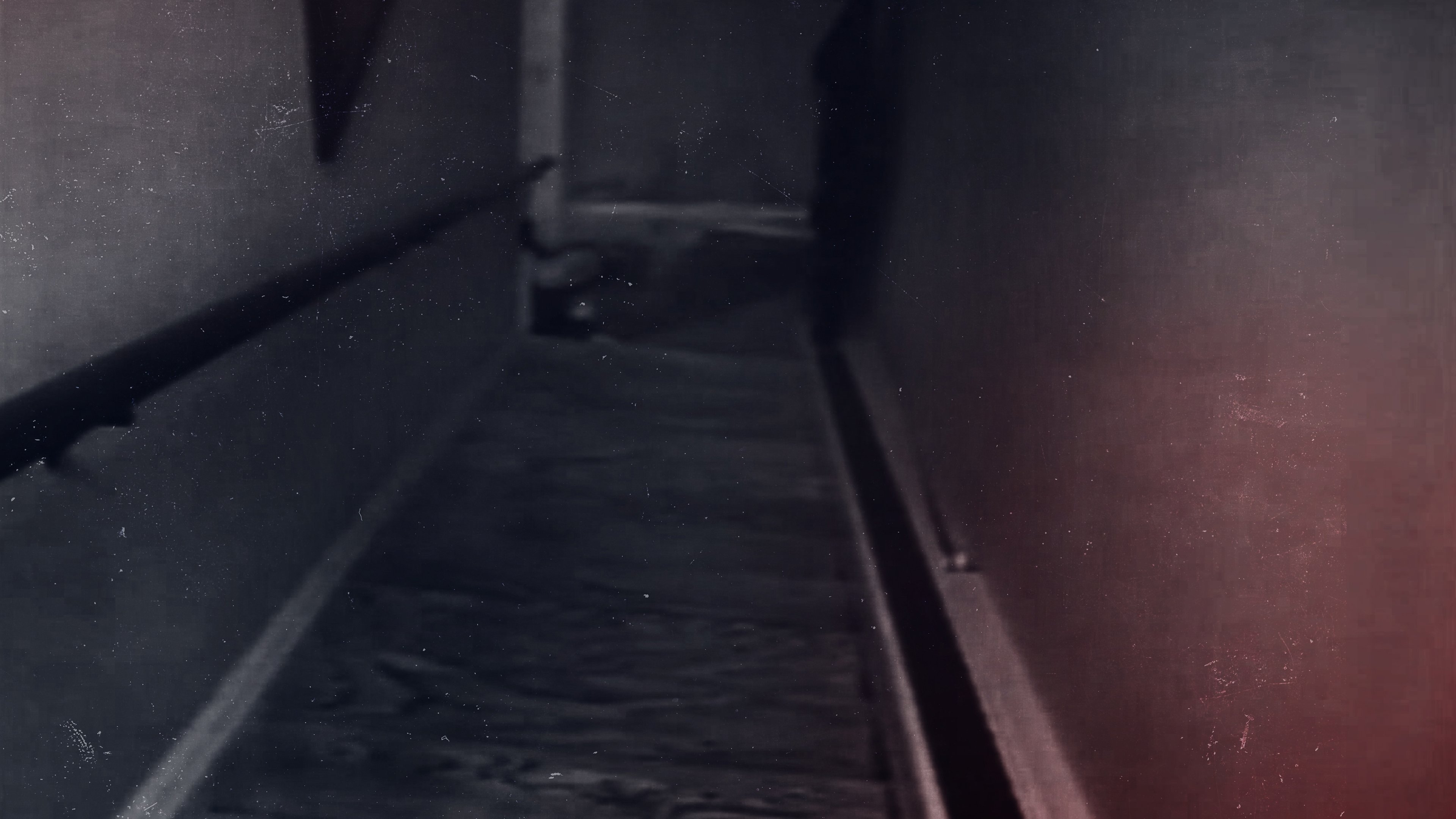 An American Murder Mystery: The Staircase Background