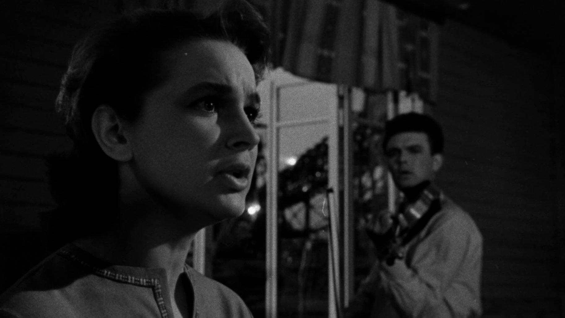 Flower on the Stone Background