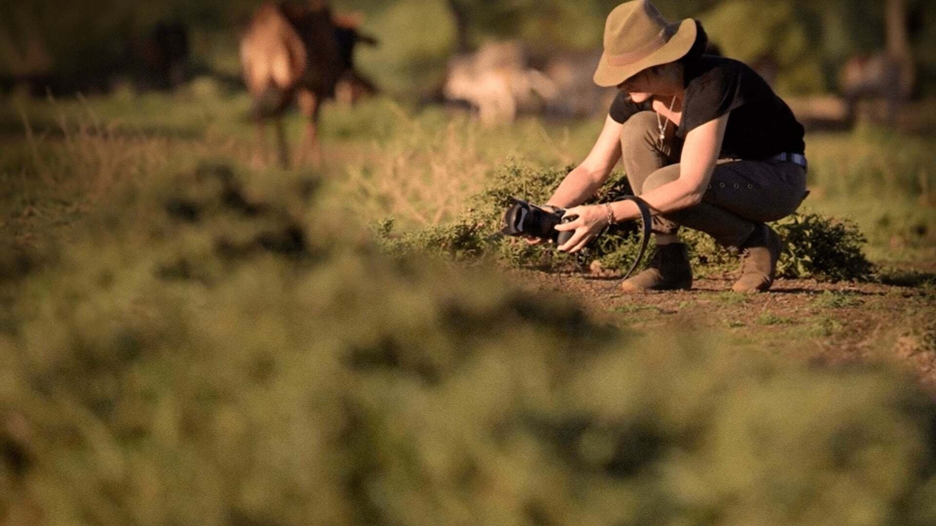 Women of Impact: Changing the World Background