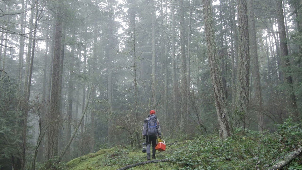 The Interior Background