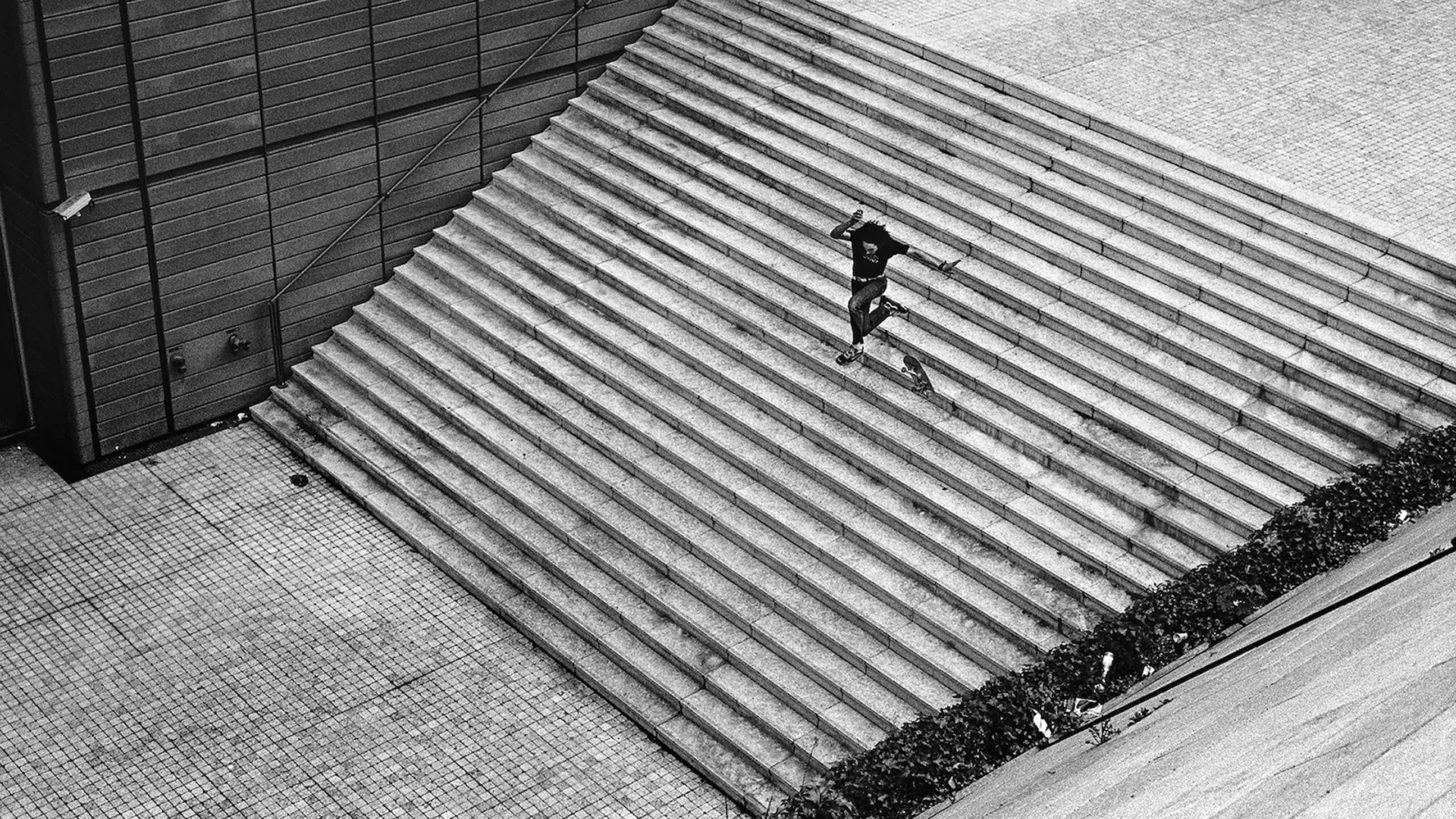 The Scars of Ali Boulala Background