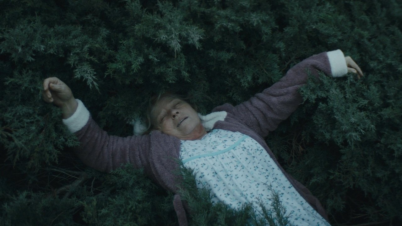 Ruletista Background