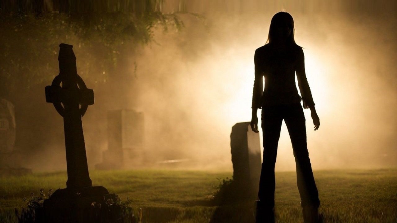 Forget Me Not Background