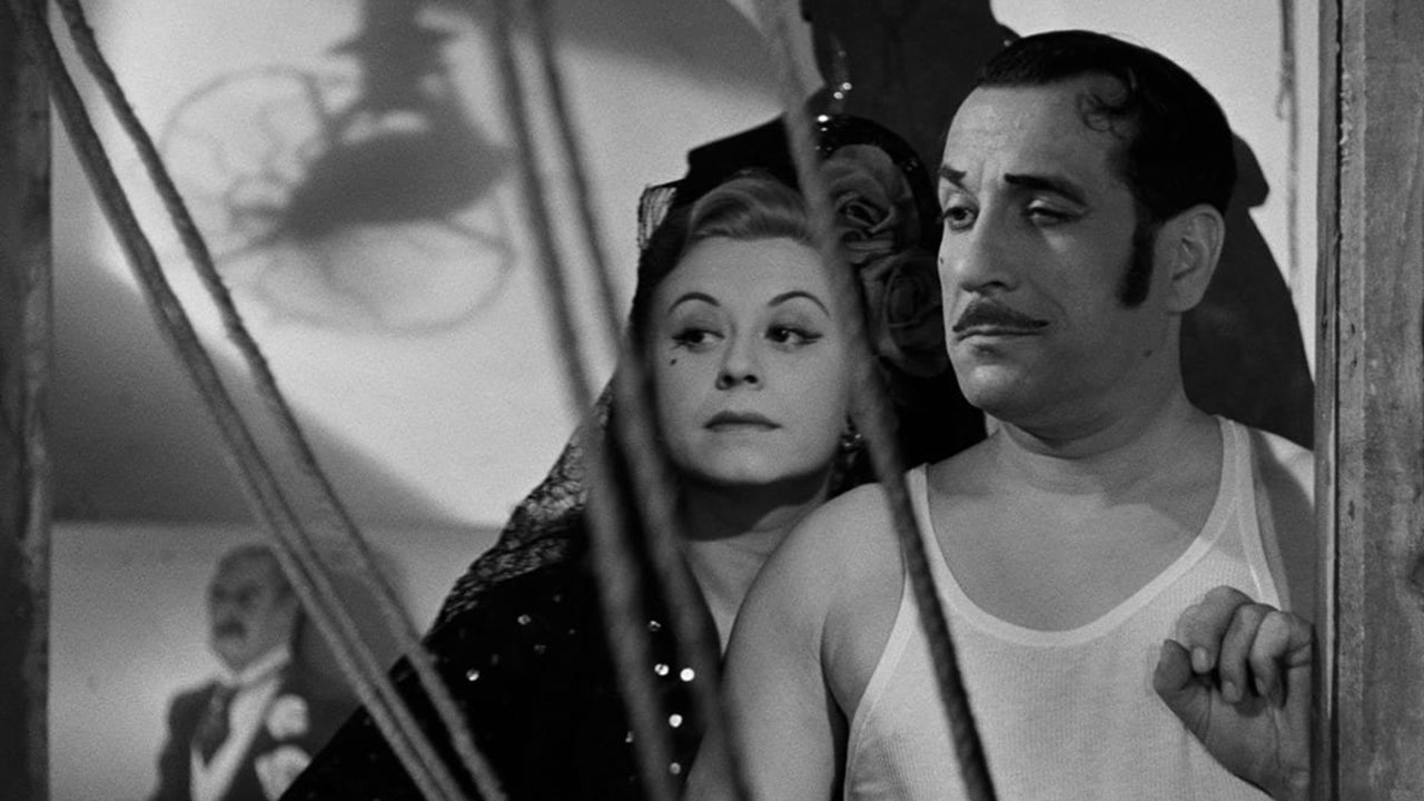 Variety Lights Background