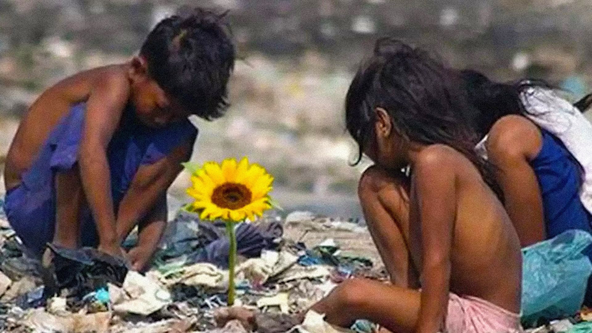 Isle of Flowers Background