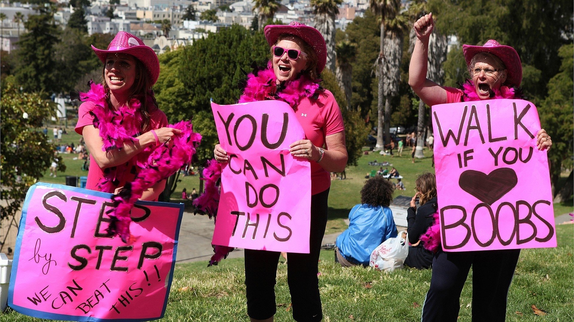 Pink Ribbons, Inc. Background